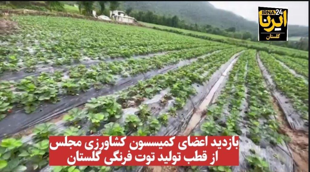 اندیشه شیروان