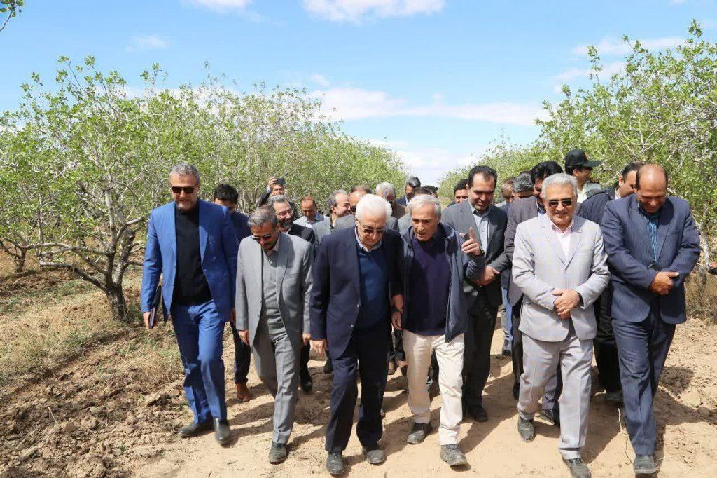 اندیشه شیروان