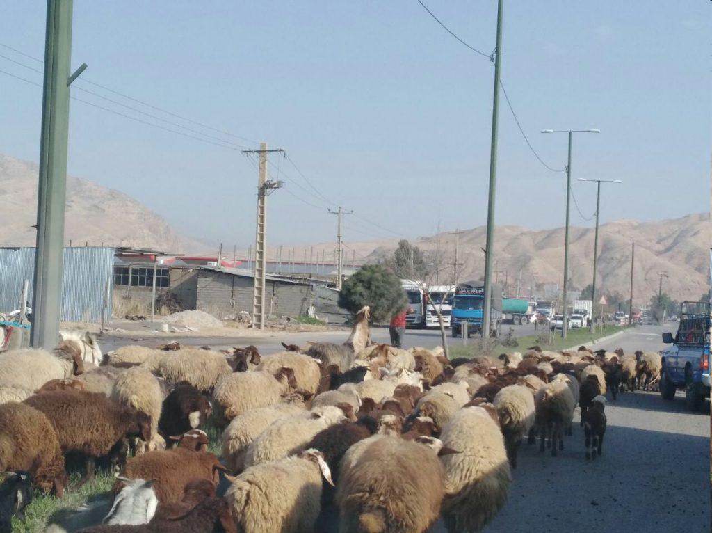 اندیشه شیروان
