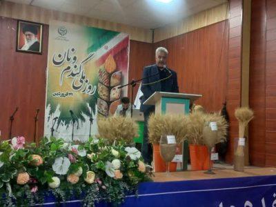 رییس جهاد کشاورزی: شازند قهرمان تولید گندم در استان مرکزی است