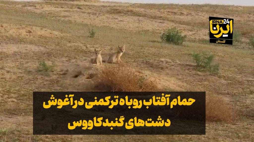 اندیشه شیروان