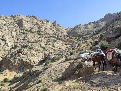 آغاز کوچ بهاره عشایر در قزوین