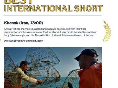 فیلم ساز بوشهری در جشنواره سینمای «سلما »آمریکا خوش درخشید