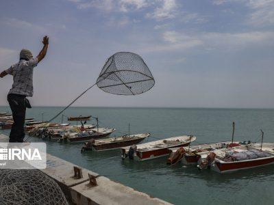 اقدام مشترک استان های جنوبی برای حفاظت از ذخایر آبزیان