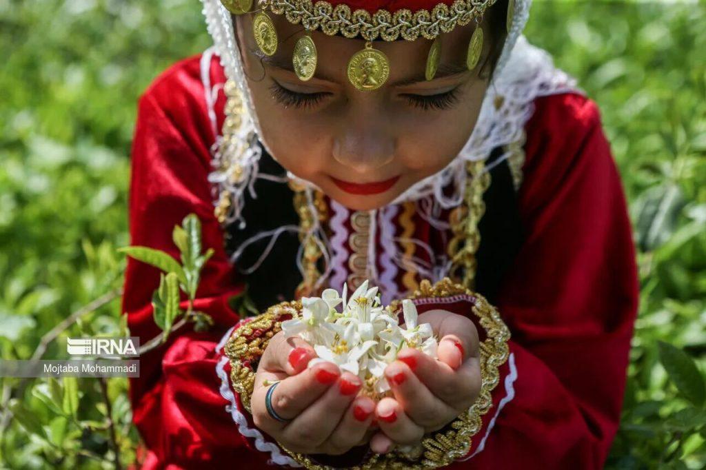 اندیشه شیروان