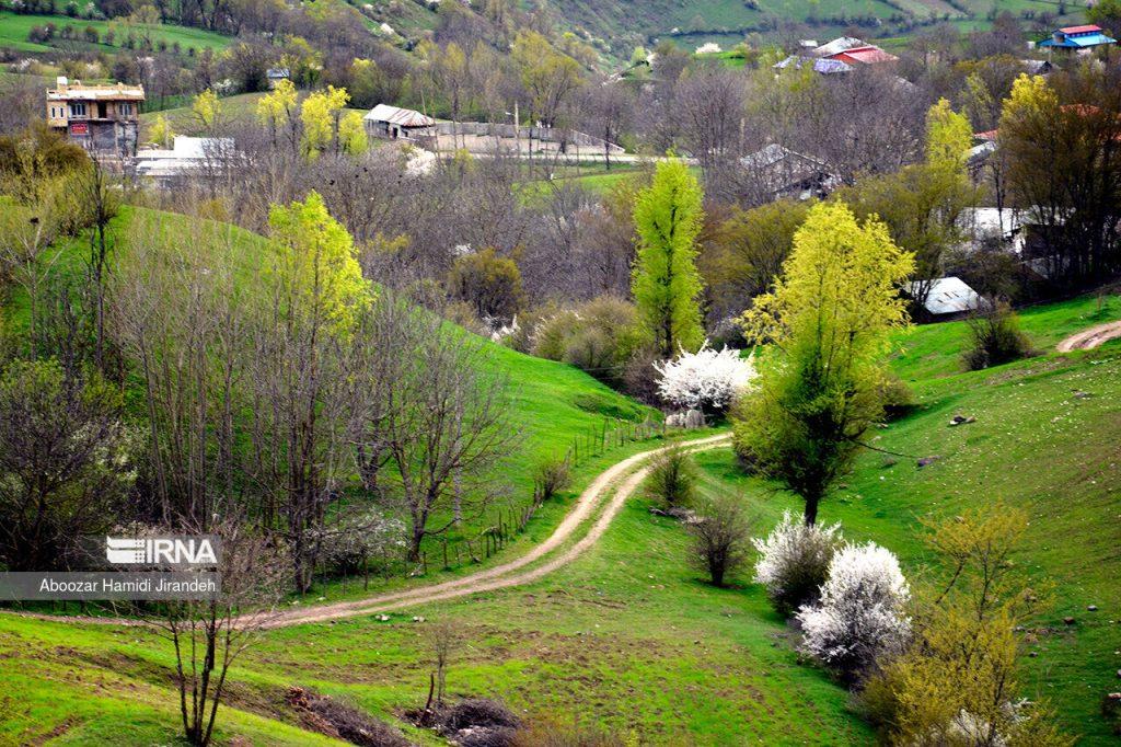 اندیشه شیروان