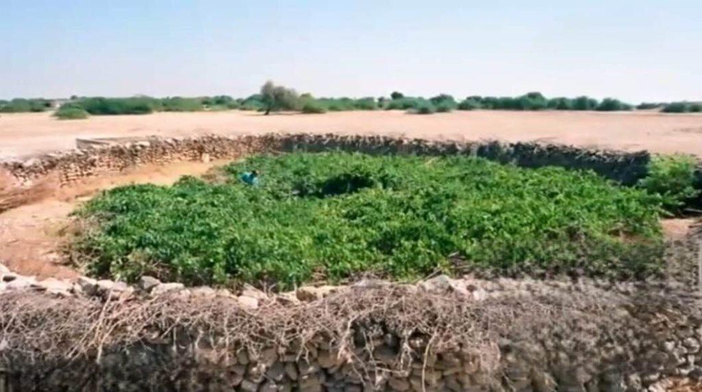 اندیشه شیروان