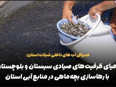فیلم | احیای ظرفیت‌های صیادی سیستان و بلوچستان با رهاسازی بچه‌ماهی در منابع آبی