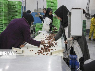 زنان بی‌ادعای خراسان شمالی، ایستاده بر قله کارآفرینی