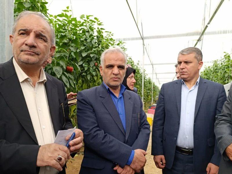 رییس کمیسیون کشاورزی مجلس: حوزه کشاورزی در برنامه هفتم توسعه مورد توجه قرار گرفت