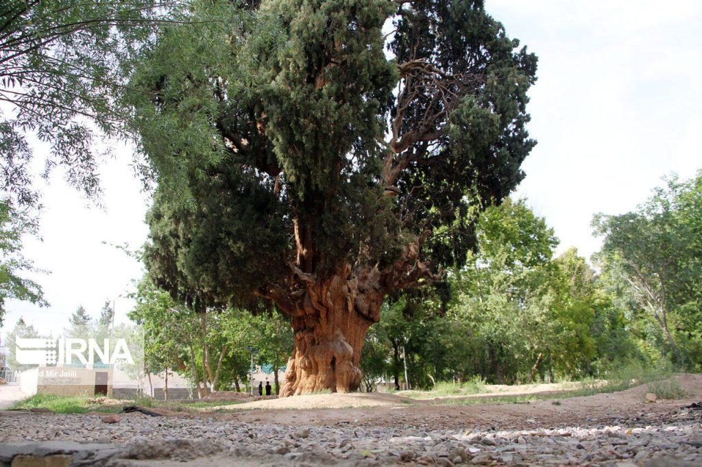 اندیشه شیروان