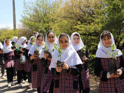 نهالستان کودک در منطقه جنگلی فندقلو نمین ایجاد شد
