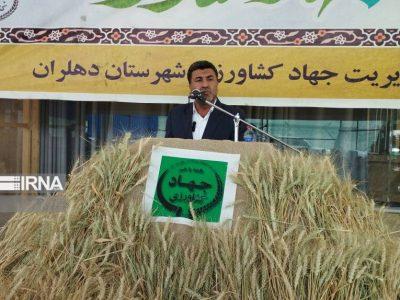 دهلران، قطب کشاورزی ایلام؛ پیش‌بینی برداشت ۱۵۰ هزار تن گندم