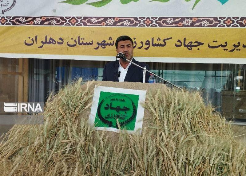دهلران، قطب کشاورزی ایلام؛ پیش‌بینی برداشت ۱۵۰ هزار تن گندم