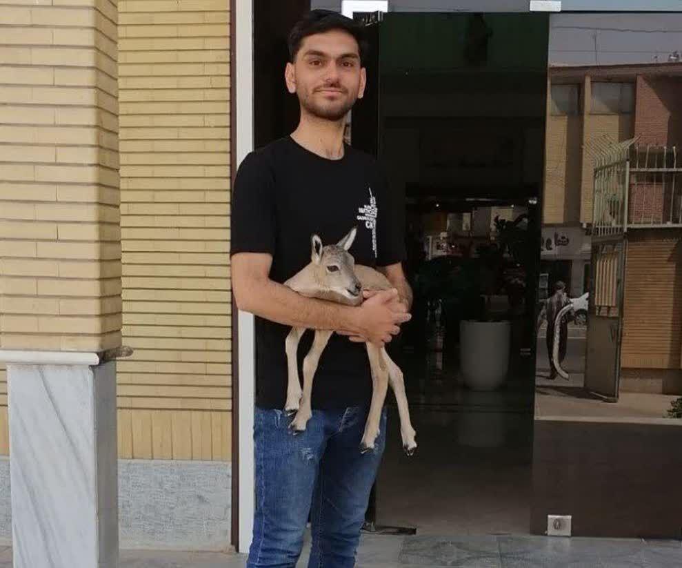 اندیشه شیروان