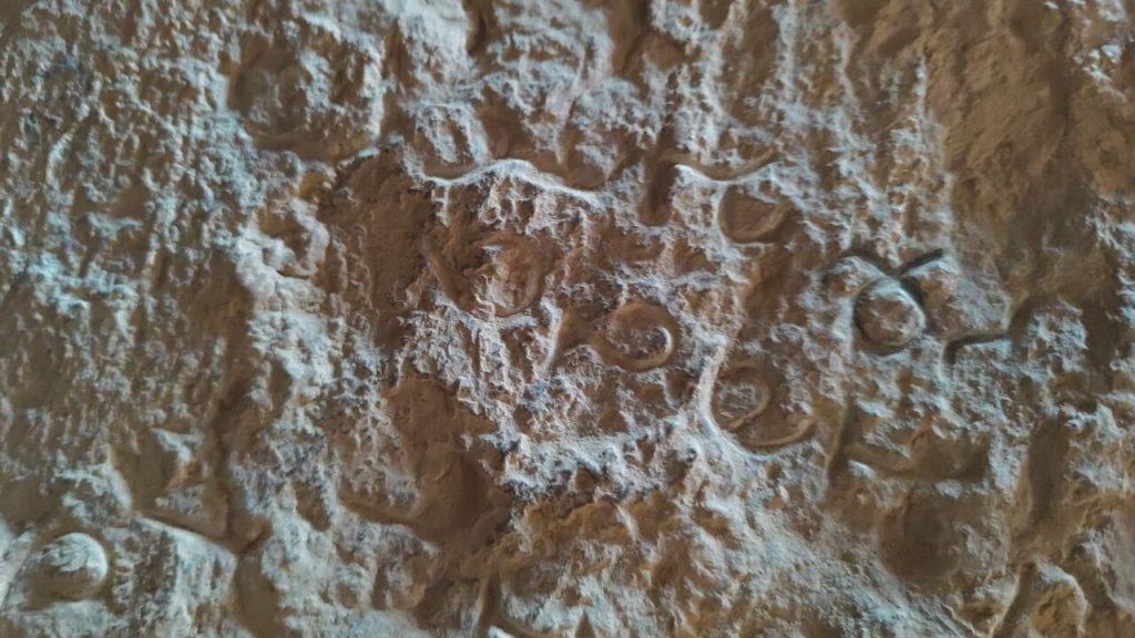 اندیشه شیروان
