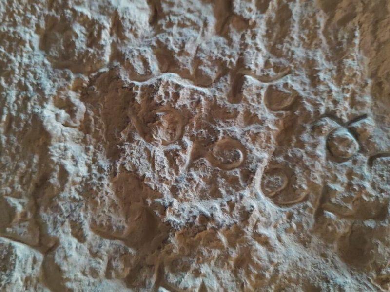کشف کتیبه باستانی هزار و ۵۰۰ ساله در آباده فارس  