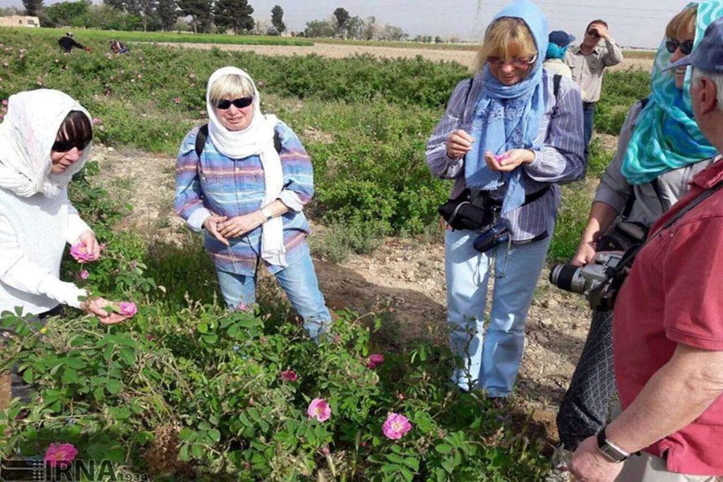 اندیشه شیروان