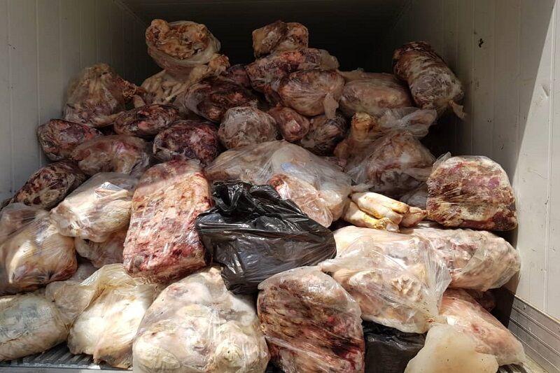 معدوم‌سازی ۴۰۰ کیلوگرم کله و پاچه در بروجرد