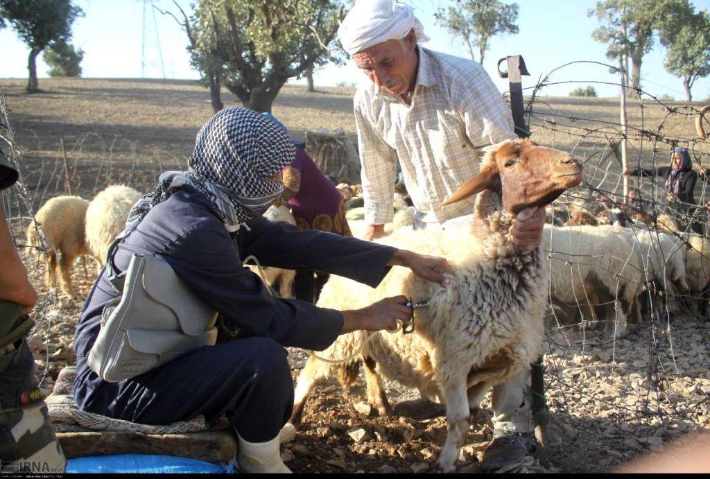اندیشه شیروان