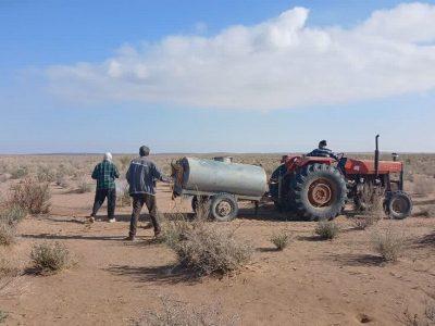 فیلم/مبارزه با آفت ملخ در منابع طبیعی گناباد