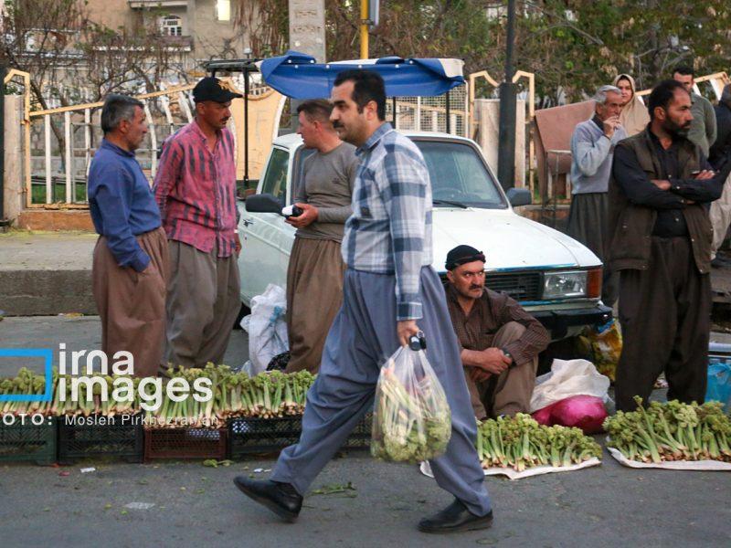 بازار گیاهان خوراکی بهاری