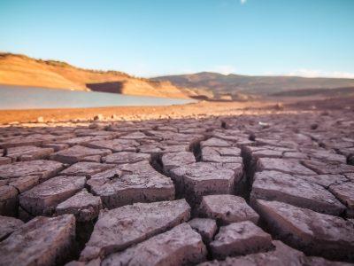 فشار مضاعف دام به مراتع / تهدید جدی دشت‌های خراسان شمالی