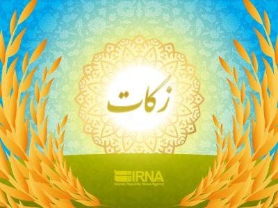 معاون کمیته امداد: فقط ۲ درصد از ظرفیت سالانه زکات محقق می‌شود