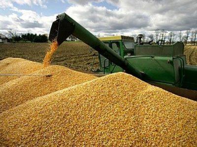 مدیر عامل شرکت مادر تخصصی بازرگانی دولتی ایران ‏ خریداری ۲۲۴۰ تن گندم طی امسال