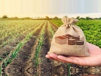 پرداخت بیش از ۷۱۷ میلیارد ریال غرامت بیمه به کشاورزان خراسان شمالی