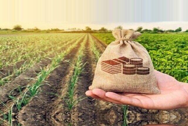 پرداخت بیش از ۷۱۷ میلیارد ریال غرامت بیمه به کشاورزان خراسان شمالی