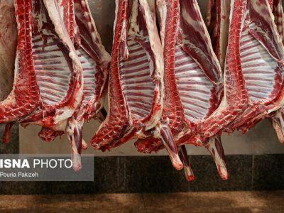 برنامه‌ریزی برای تولید بیش از ۲۱ هزار تن گوشت قرمز در خراسان شمالی