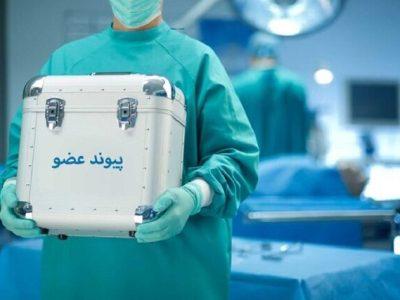 حدود ۲۰ درصد از مردم خراسان شمالی دارای کارت اهدای عضو هستند