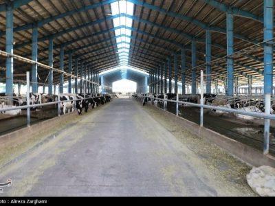 احیای واحدهای راکد تولیدی خراسان شمالی در دستور کار کارگروه تسهیل