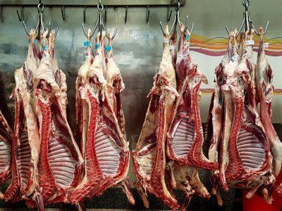 دامپزشکی خراسان‌شمالی به ۲۴۲ تخلف بهداشتی رسیدگی کرد