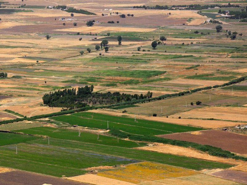 ۵۵.۵ درصد از زمین‌های کشاورزی خراسان‌شمالی سنددار شد