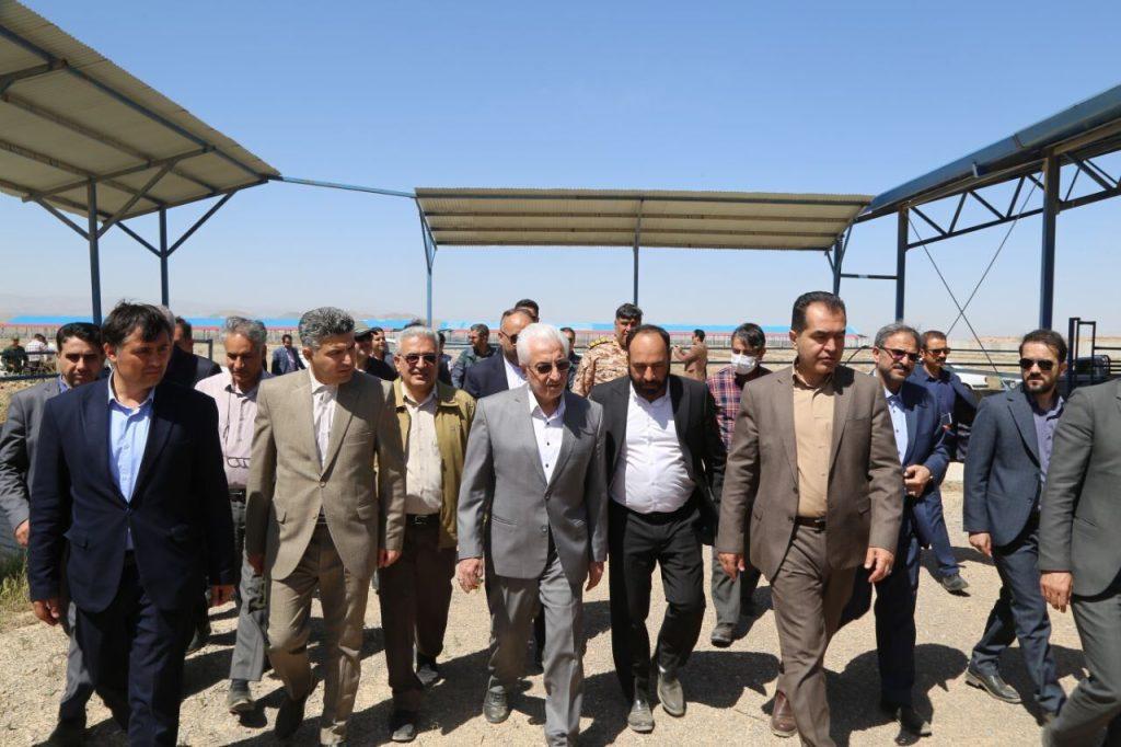 نماینده شیروان: تسهیلات طرح گاوداری ۱۰ هزار راسی به‌زودی واریز می‌شود