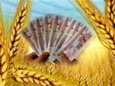 طلب ۲۵۸۴ میلیارد ریالی گندمکاران خراسان شمالی از دولت