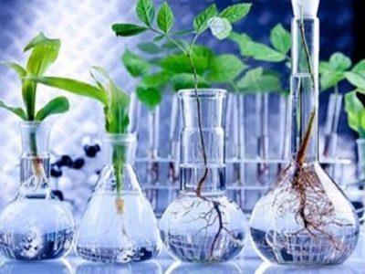 احداث پالایشگاه گیاهان دارویی در خراسان شمالی