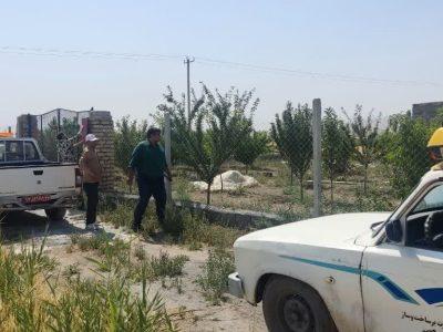 چهار مورد تغییر کاربری غیرمجاز در روند پایش مستمر یگان حفاظت در شهرستان شیروان شناسایی شد.