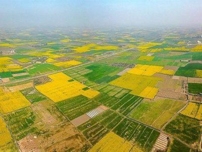 سهم خراسان شمالی از واگذاری‌های عجیب و غریب اراضی ملی/ تثبیت مالکیت ۲.۶ میلیون هکتار