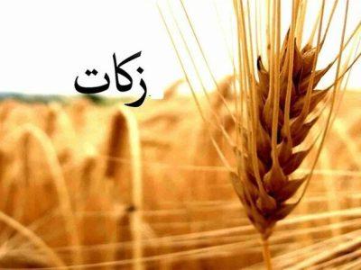 رشد ۲۶ درصدی پرداخت زکات در خراسان شمالی