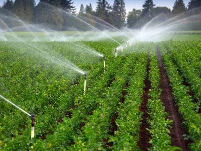 ۱۸ همت اعتبار برای تأمین زیرساخت‌های آبرسانی کشاورزی نیاز است