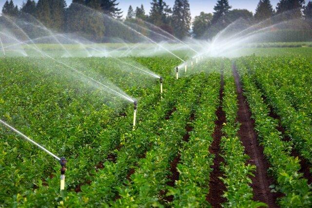 ۱۸ همت اعتبار برای تأمین زیرساخت‌های آبرسانی کشاورزی نیاز است