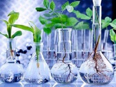 پالایشگاه گیاهان دارویی، خراسان شمالی را به مرکز صادرات این محصول تبدیل می‌کند