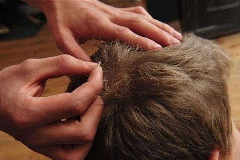 اندیشه شیروان