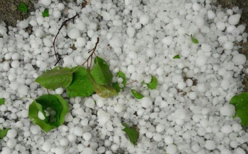 اندیشه شیروان