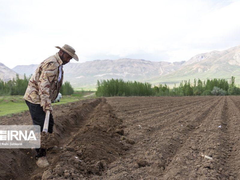 مطالبات کشاورزان چهارمحال و بختیاری؛ کمبود آب و برق تا ظرفیتهای تولید و سرمایهگذاری