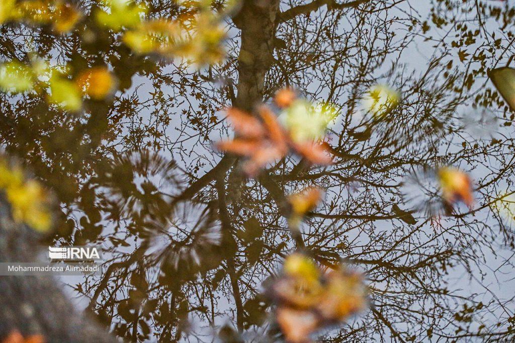 اندیشه شیروان