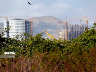 ضوابط حفاظتی عرصه و حریم باغ گیاهشناسی در طرح تفصیلی تهران منعکس میشود